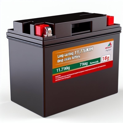 Хорошая цена 51.2V 230Ah Golf Cart LiFePO4 Battery with Smart BMS 11.8kWh онлайн